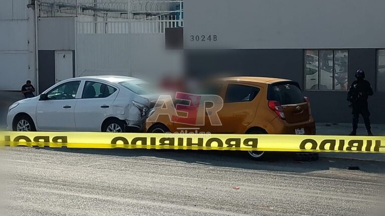 Picsart_24-04-11_18-33-37-750