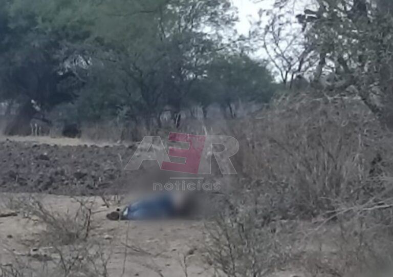 Picsart_24-06-03_00-44-17-457