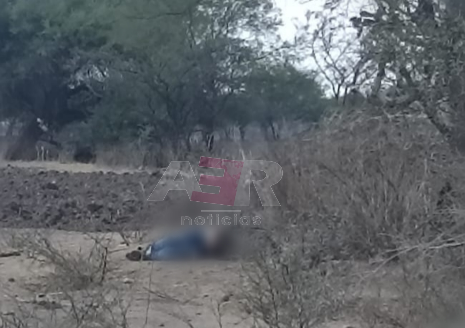 Picsart_24-06-03_00-44-17-457