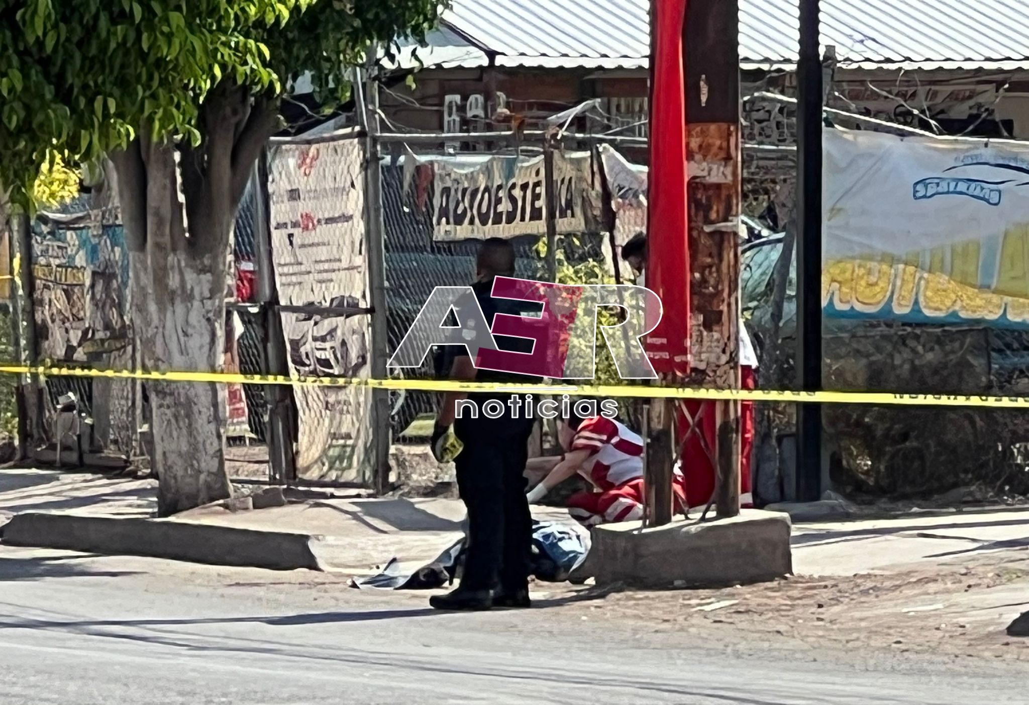 Picsart_24-06-03_17-59-21-867