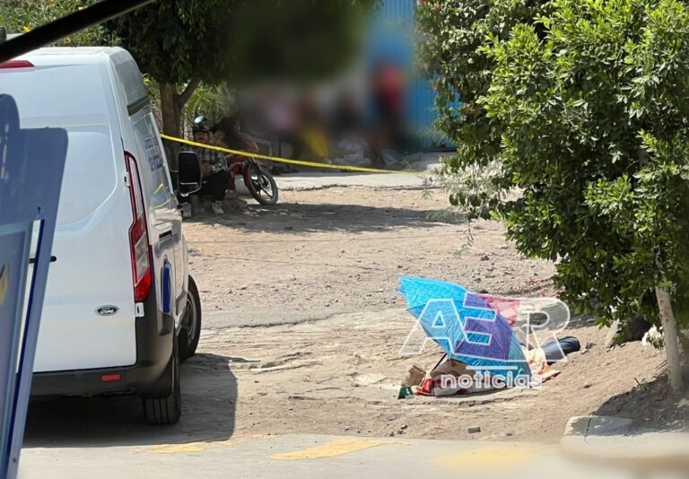 Picsart_24-06-18_14-49-42-600