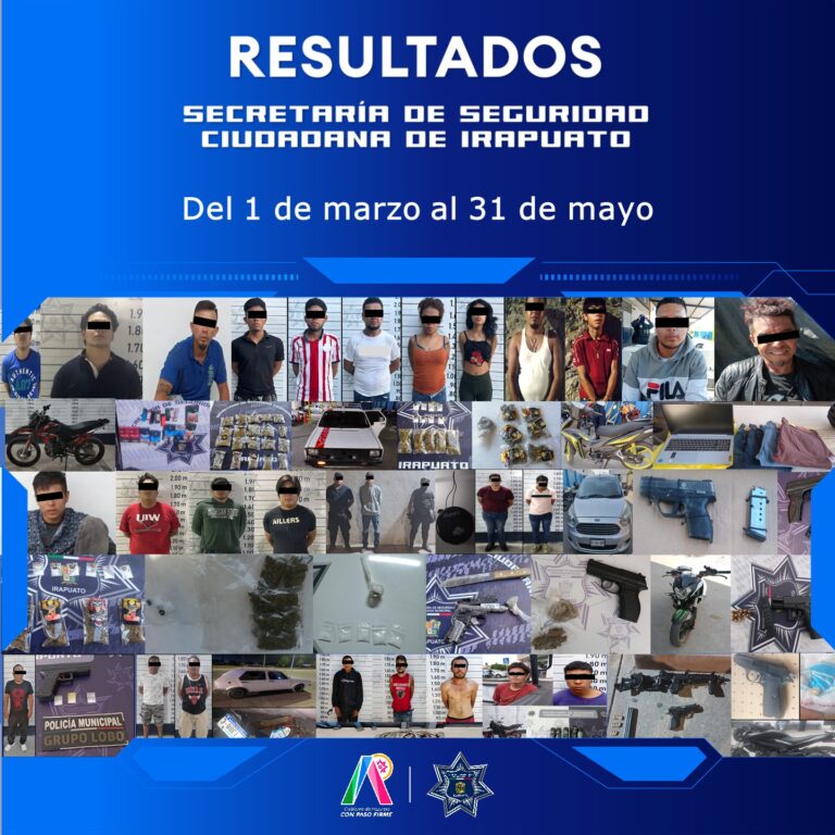 Resultados Trimestral 1