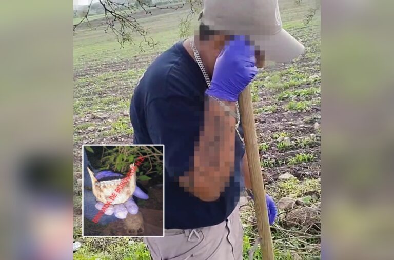 Picsart_24-07-14_11-08-49-128