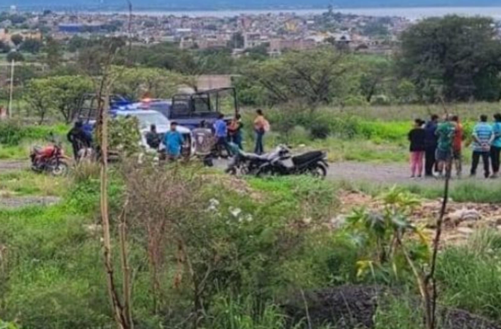 Picsart_24-07-16_21-43-52-827