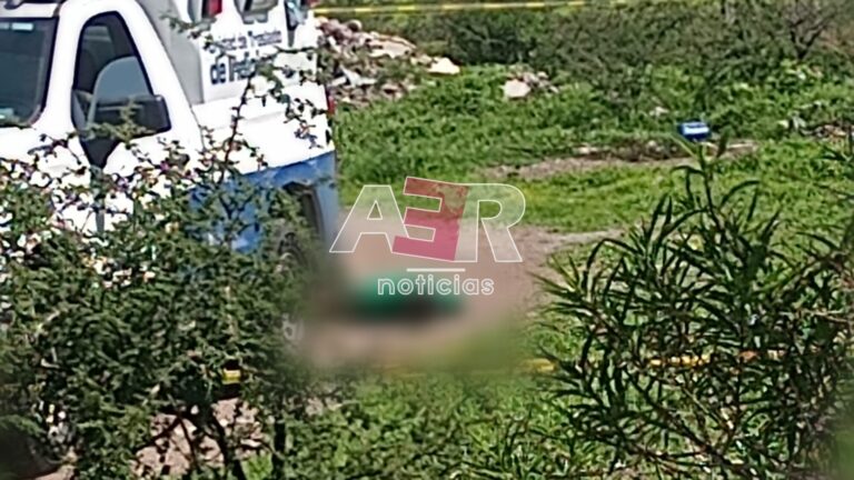 Picsart_24-07-21_16-21-17-194