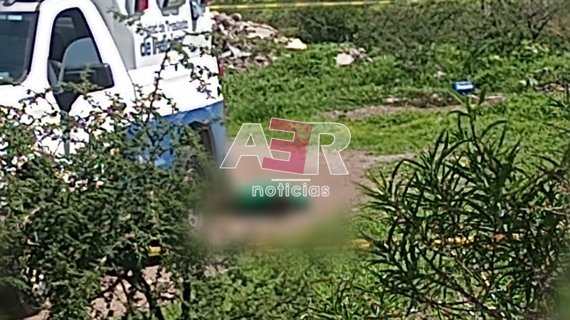 Picsart_24-07-21_16-21-17-194