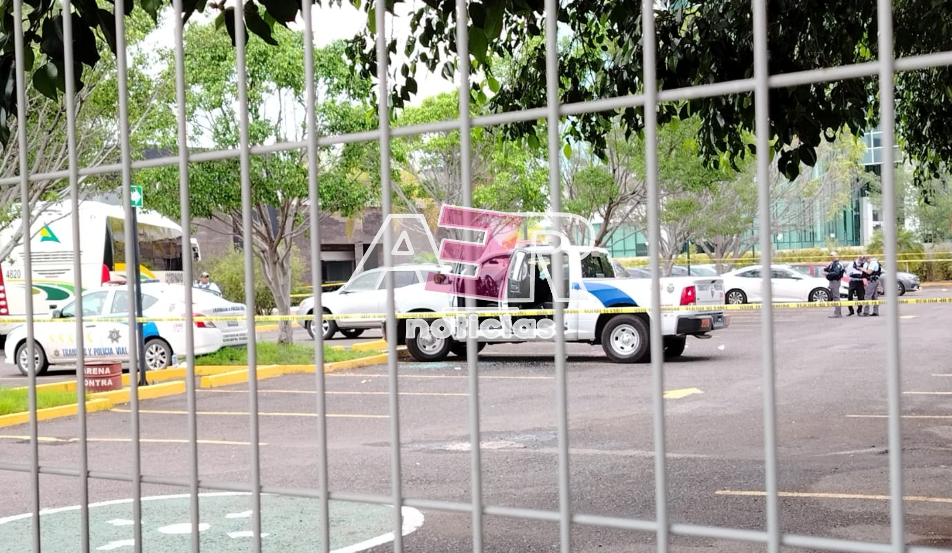 Picsart_24-07-24_14-36-27-454