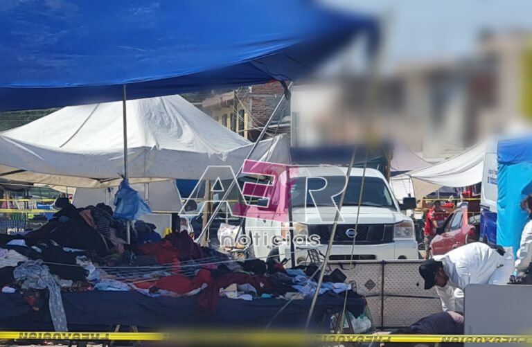 Picsart_24-08-25_20-43-53-118