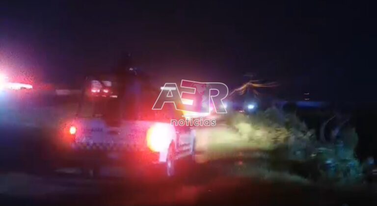 Picsart_24-08-26_22-07-26-736