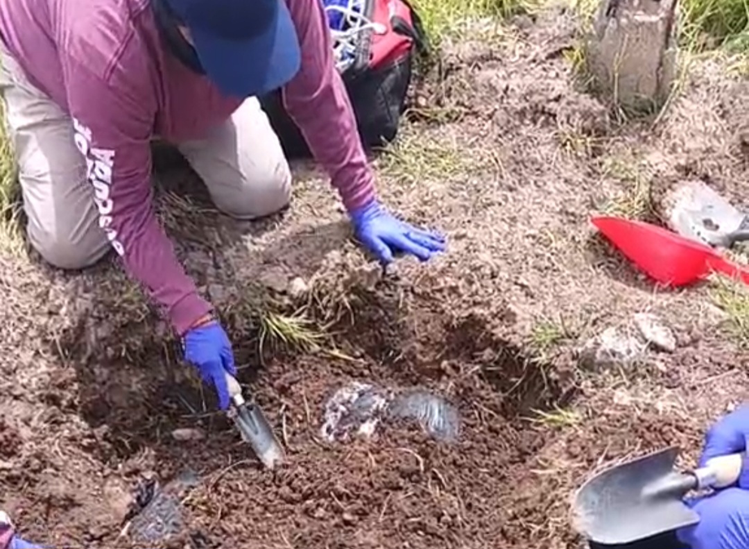 Screenshot_20240828_135158_Facebook