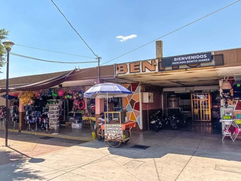 FB_IMG_1729194383084