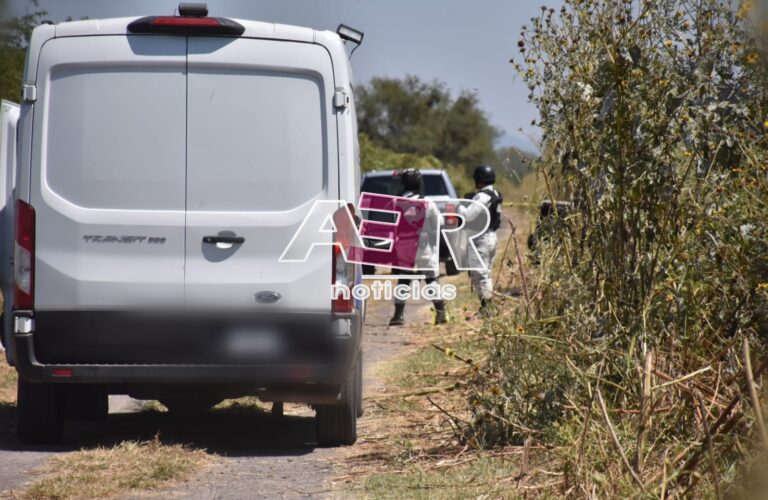 Picsart_24-10-15_11-36-27-915