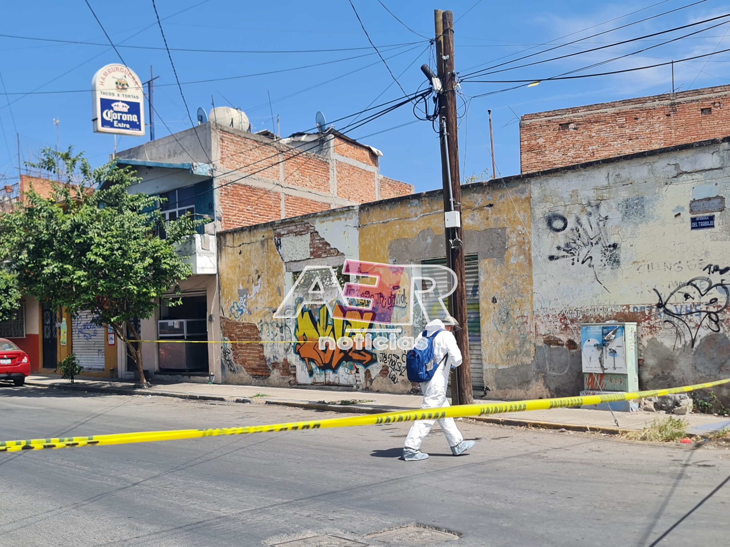 Picsart_24-10-17_14-08-33-695