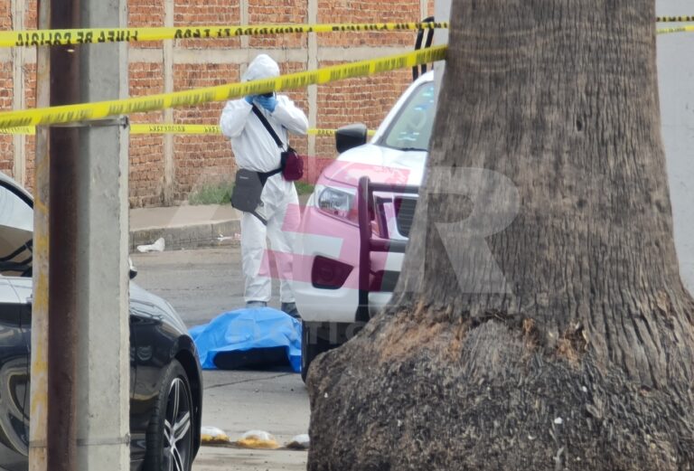 Picsart_24-10-21_09-11-34-800