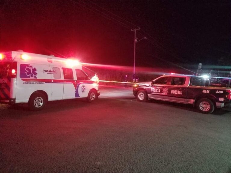 FB_IMG_1731001893768