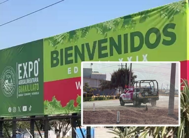 Picsart_24-11-08_15-25-57-714