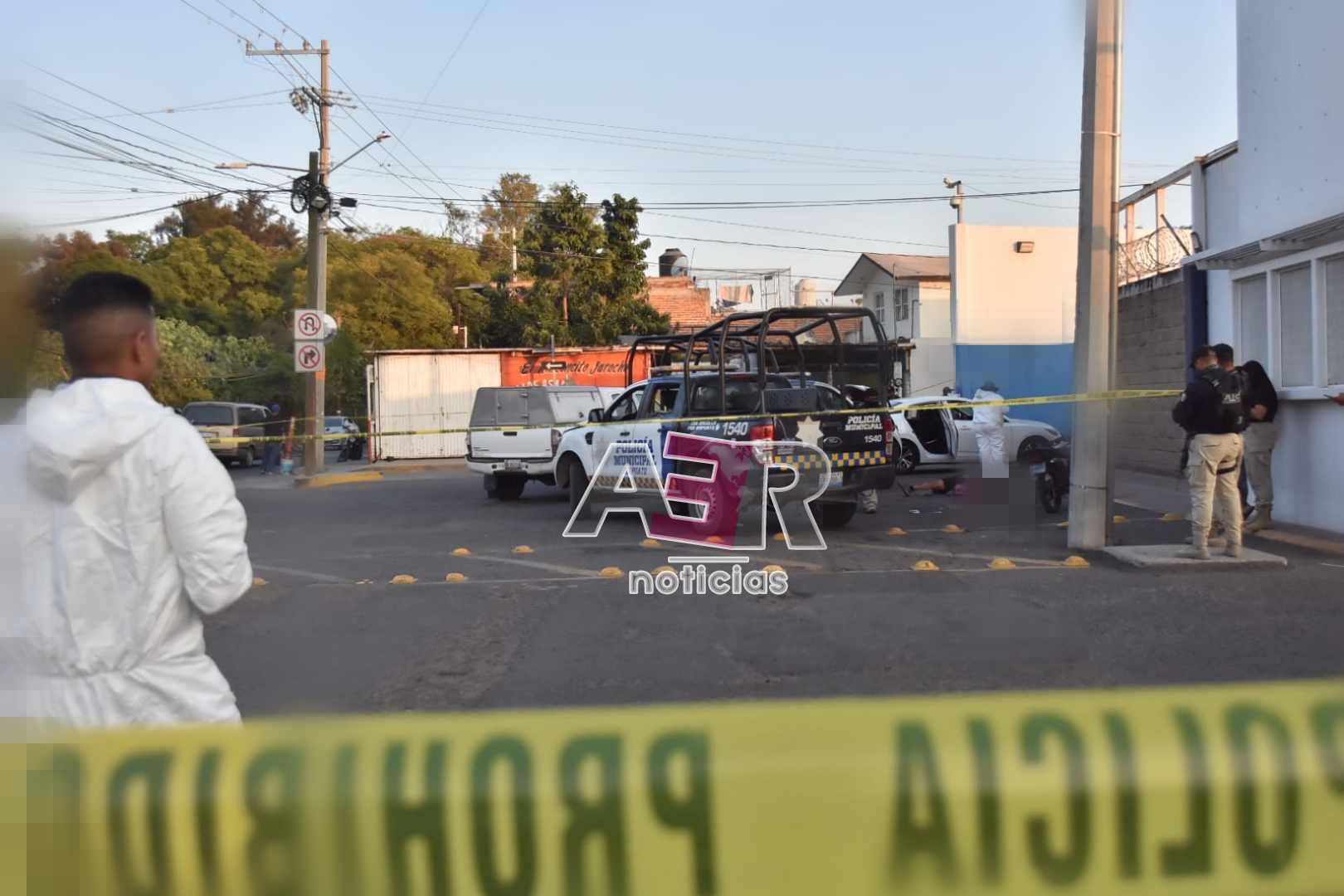 Picsart_24-11-16_21-24-31-195