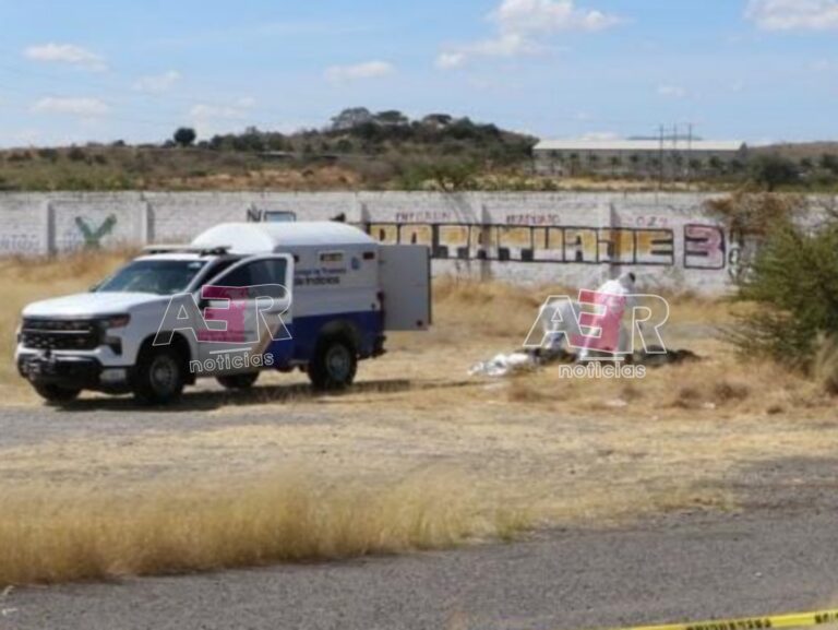 Picsart_24-11-19_19-01-50-000