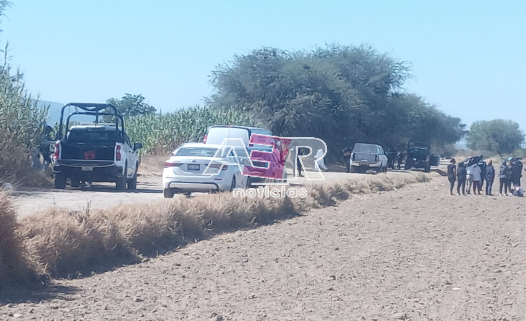 Picsart_24-11-22_14-14-59-793