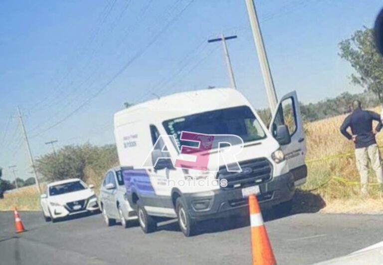 Picsart_24-11-23_16-15-56-835