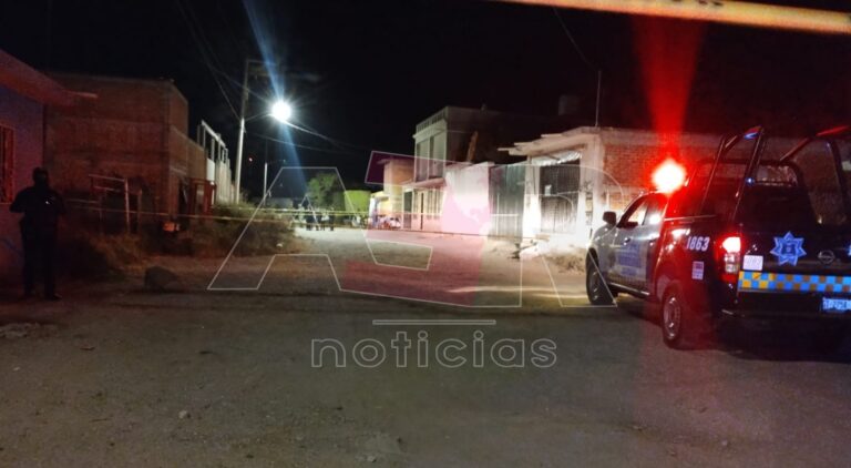 Picsart_24-11-25_22-20-29-462