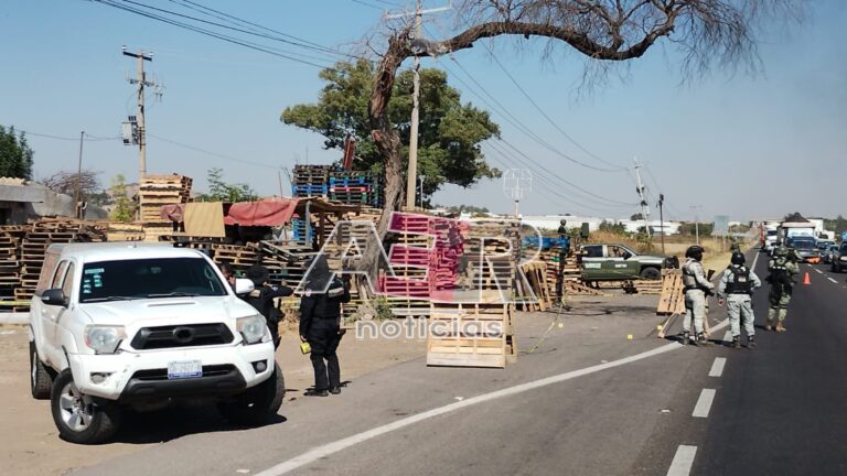 Picsart_24-11-25_22-55-09-765