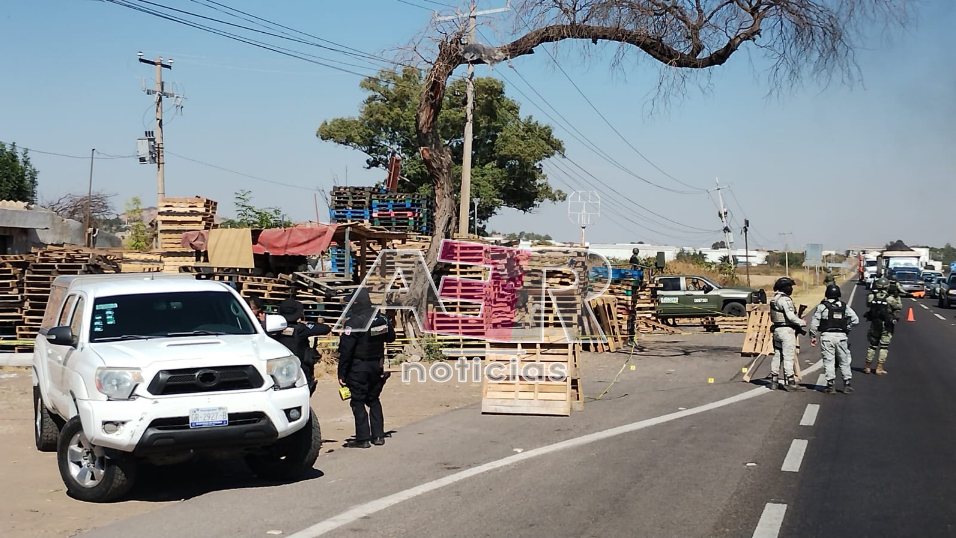 Picsart_24-11-25_22-55-09-765