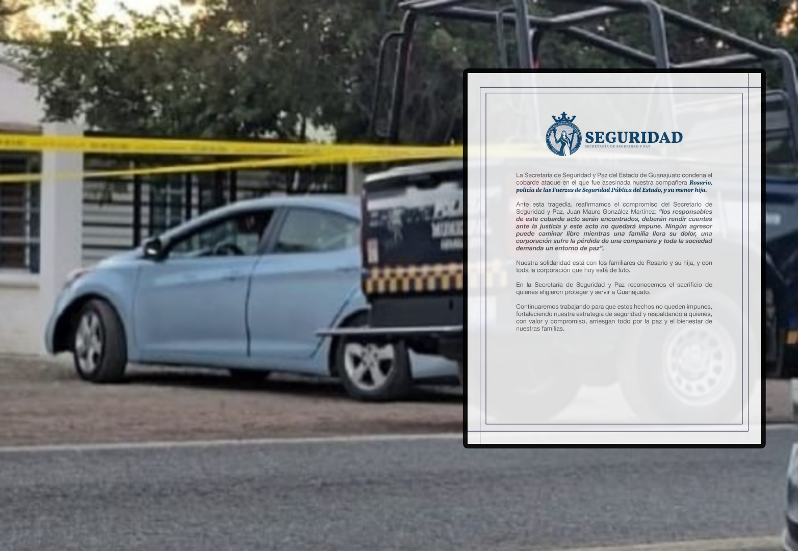 Picsart_24-12-03_21-22-06-901