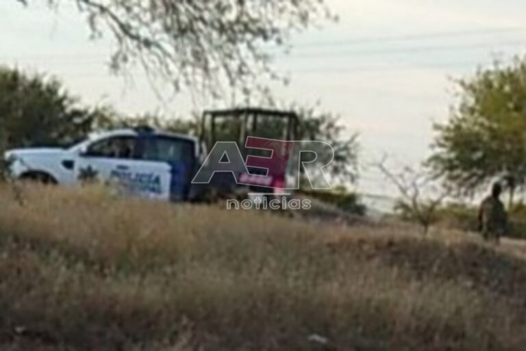 Picsart_24-12-07_21-15-39-947