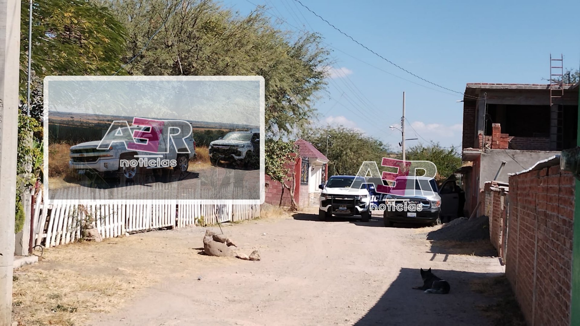 Picsart_24-12-10_20-07-56-192