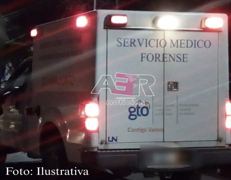 Picsart_24-12-31_20-11-39-227