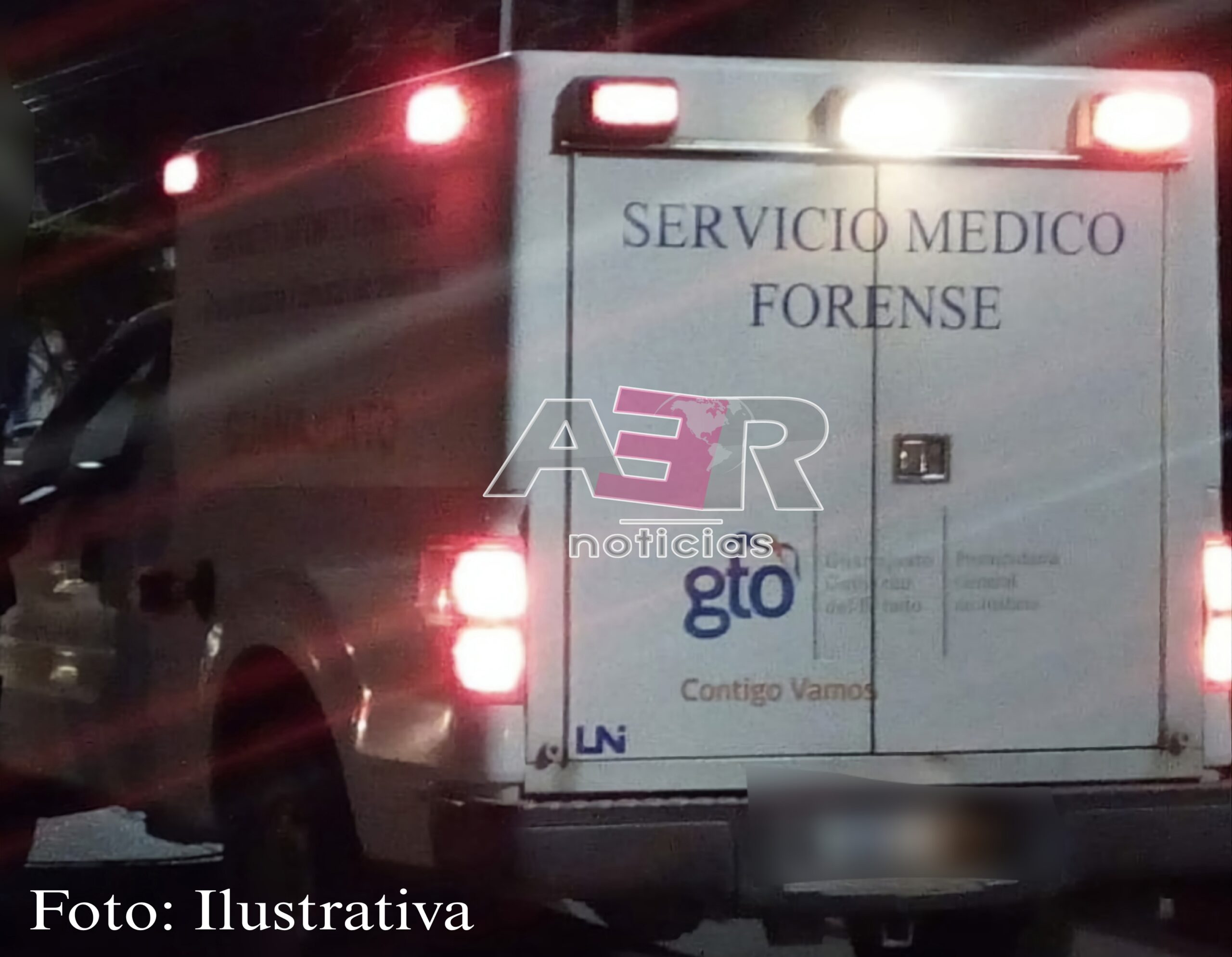 Picsart_24-12-31_20-11-39-227