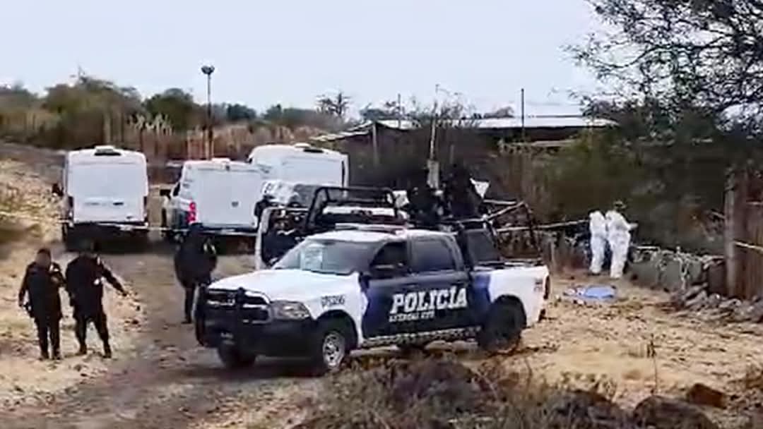 FB_IMG_1736203352716