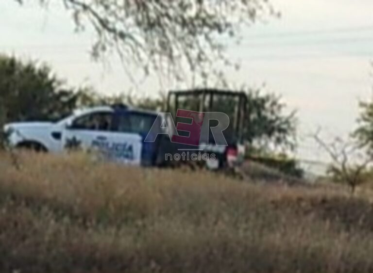 Picsart_25-04-01_19-54-11-559