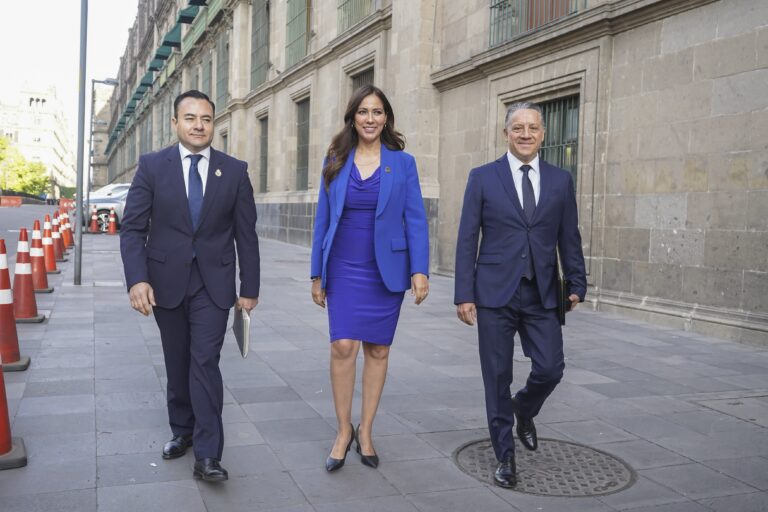 Reunión Gabinete de Seguridad en Palacio Nacional (6)