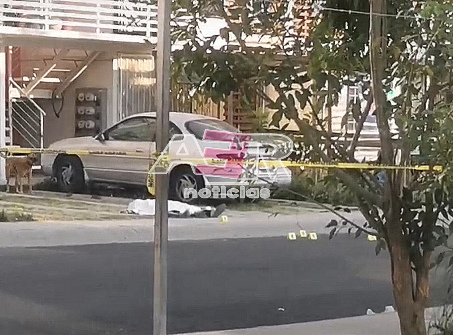 Picsart_25-05-19_20-29-20-160