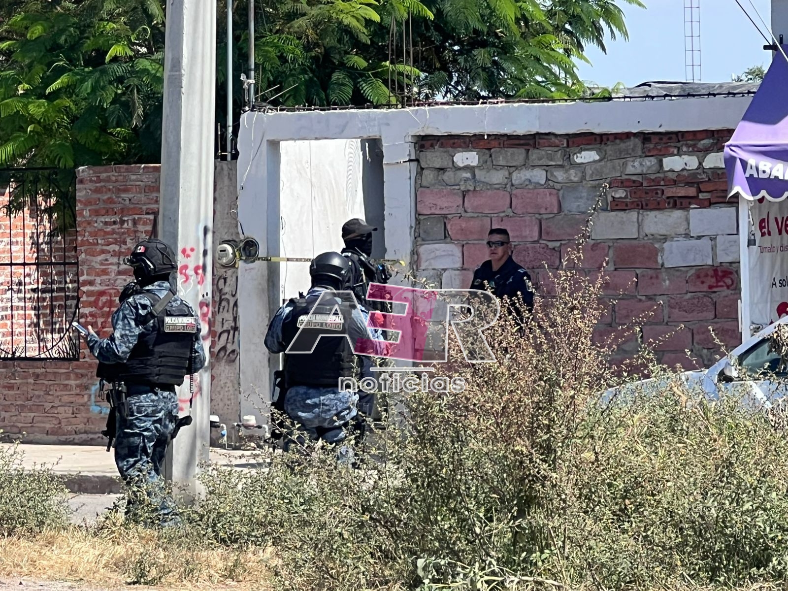 Picsart_25-10-24_14-15-33-715